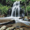 M11_Painting_by_Numbers_-_Waterfall_in_nature_2