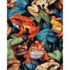 M11_Diamond_Paintings_-_Colourful_toads