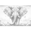 M11_Dotting_Points_-_Colorful_elephant_and_butterflies