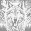 M11_Dotting_Points_-_Colorful_wolf