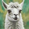 M11_Diamond_Paintings_-_Llama_in_shades_of_muted_green
