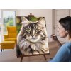 M9_Diamond_Paintings_-_Maine_Coon_cat
