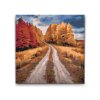 M2_Painting_by_Numbers_-_Field_Track_in_Autumn