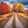 M11_Diamond_Paintings_-_Field_Track_in_Autumn