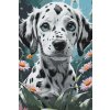 M11_Painting_by_Numbers_-_Dalmatian_puppy