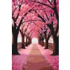 M11_Painting_by_Numbers_-_Sakura_alley