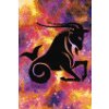 M11_Diamond_Paintings_-_Zodiac_sign_–_Capricorn