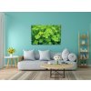 M3_Diamond_Paintings_-_Four-leaf_clover_for_luck