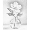 M11_Dotting_Points_-_Minimalistic_white_flower