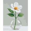 M11_Painting_by_Numbers_-_Minimalistic_white_flower