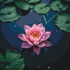 M11_Painting_by_Numbers_-_Pink_lotus_flower