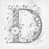 M11_Dotting_Points_-_Letter_D_-_Floral_Pattern