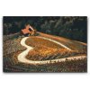 Peinture par numéros - Vignoble en forme de cœur au bord de la route, Maribor - Slovénie