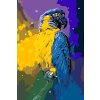 Paint by Number - Parrot