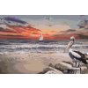 Paint by Number - Pelican and Boat