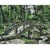 Paint by Number - Bridge in the Garden