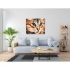 Paint by Number - Tiger Cat