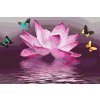 Paint by Number - Lotus and Butterfly