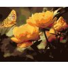 Paint by Number - Butterfly with Flowers