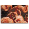 Diamond Painting - Flamingos 2