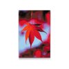 Diamond Painting - Maple Leaf