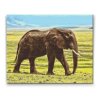 Diamond Painting - Safari Elephant