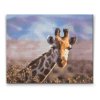 Diamond Painting - Safari Giraffe