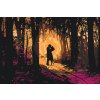 Paint by Number - Amorous Couple in Forest