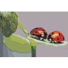Paint by Number - Ladybugs