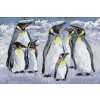 Paint by Number - Penguins
