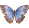 Diamond Painting - Butterfly Wings