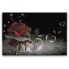 Diamond Painting - Heart Bubbles and Rose
