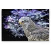 Diamond Painting - Falcon