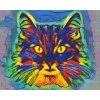 Diamond Painting - Colorful Cat 2