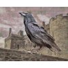Diamond Painting - King Raven