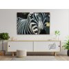 Diamond Painting - Focused on the Zebra