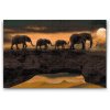 Diamond Painting - Wandering with Elephants