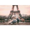 Diamond Painting - Pigeons in Paris