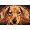 Diamond Painting - Dachshund head