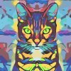 Paint by Number - Colorful Cat