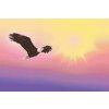Diamond Painting - Eagle at Sunset