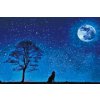 Diamond Painting - Howling Dog at Full Moon