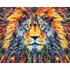 Paint by Number - Colorful Lion