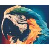Diamond Painting - Ara Parrot 2