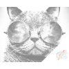 Dotting points - Party Cat