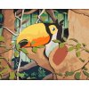 Paint by Number - Toucan