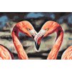 Paint by Number - Flamingos