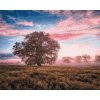 Diamond Painting - Lonely Tree 3