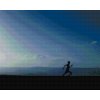 Diamond Painting - Running