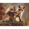 Diamond Painting - Fox Cub